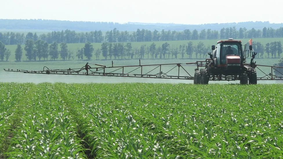 The Green Ammonia Race