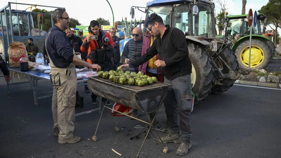 Farmer’s Cry for Aid During Catalonia’s Drought