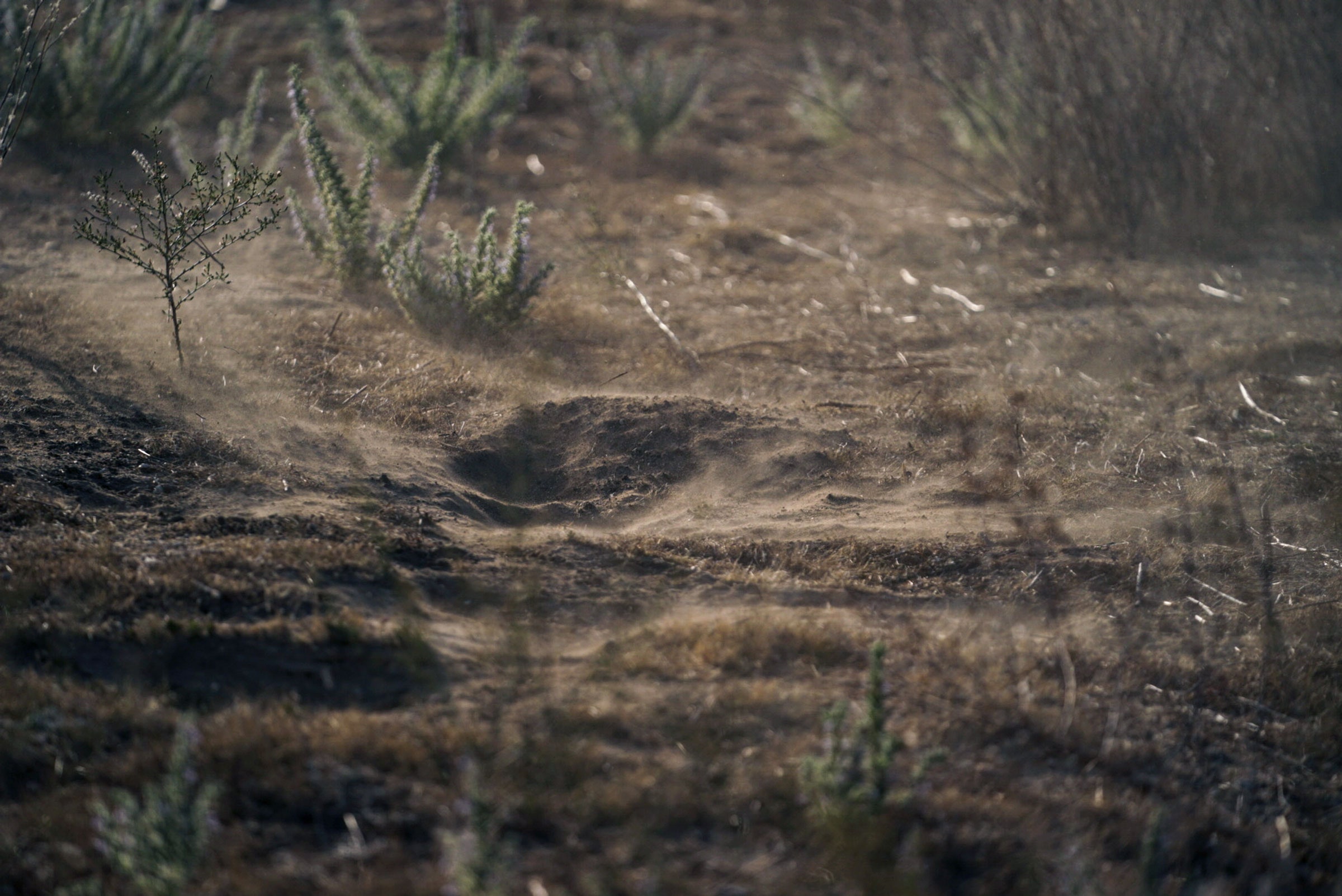 Rainfall and Fungal Outbreaks in California